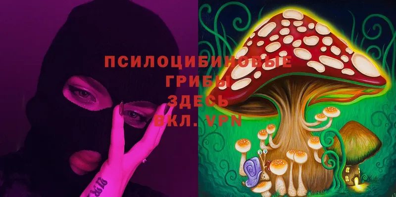 купить наркоту  Баймак  darknet состав  Псилоцибиновые грибы MAGIC MUSHROOMS 